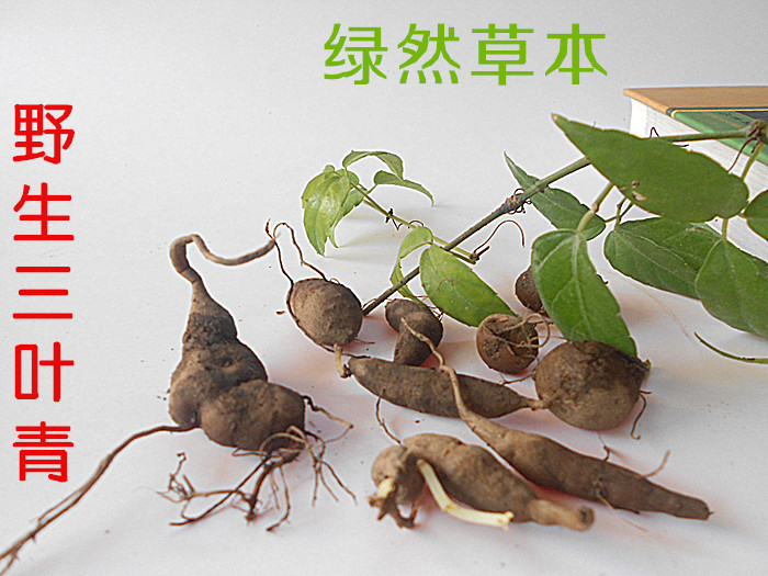 绿然草本 浙江金线吊葫芦 野生 三叶青 中药材新鲜250