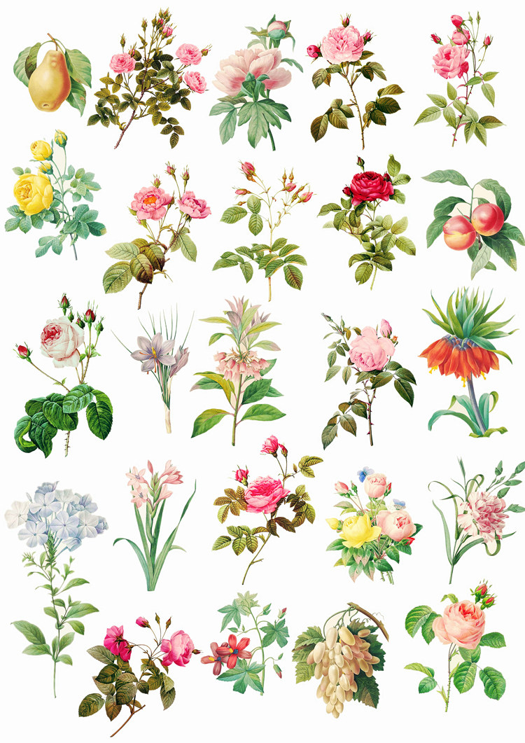 【未裁剪】自制手帐贴纸打印定制硫酸纸不干胶贴纸植物花环包邮