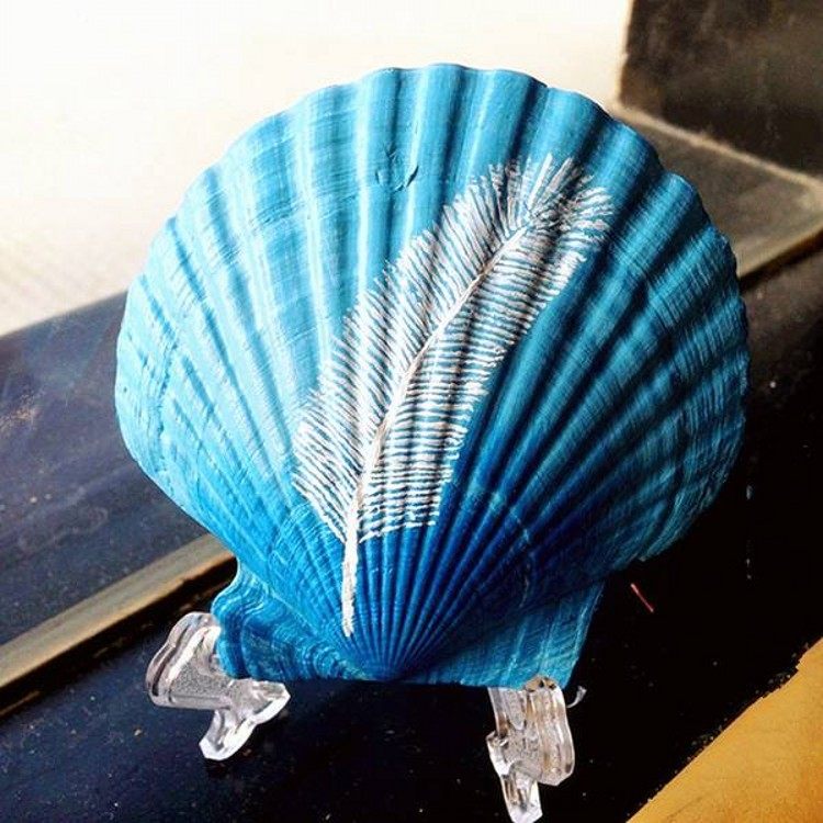 diy绘画涂鸦小号海螺烧烤幼儿园活动礼品鱼缸天然大白扇贝壳包邮