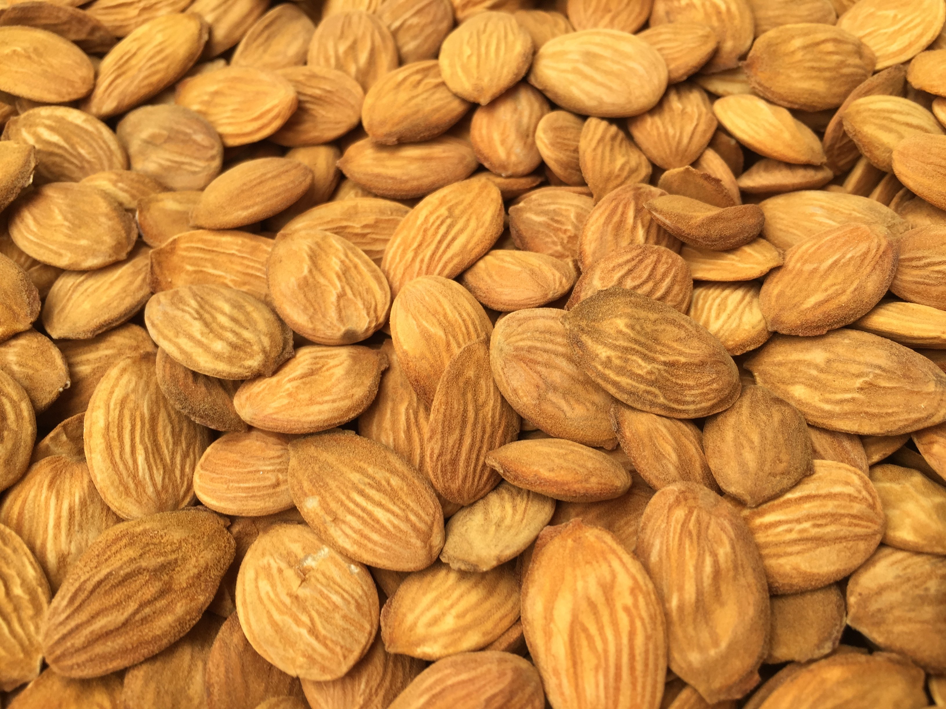 16年新品沂蒙山区手挑桃仁野生中药材生桃仁250g买两件包邮