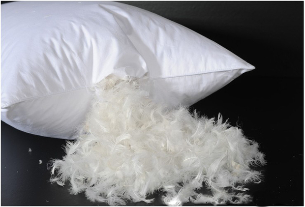 五星级酒店宾馆羽绒枕白鸭绒鹅羽毛枕芯枕头柔软枕头单人保健枕头