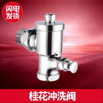 Day new full copper hand press type squatting pan flush valve button stool flushing toilet 90 degrees Entrance Wall Switch Delay Valve