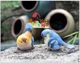 Creative home living room decoration flower garden garden cute gift simulation bird resin animal decoration Creative home living room decoration flower garden garden cute gift simulation bird resin animal decoration