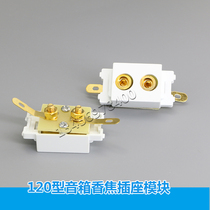 Copper floor insert gold-plated speaker module 120 type fragrant Coke plug function 86 panel dual-position tone focus socket