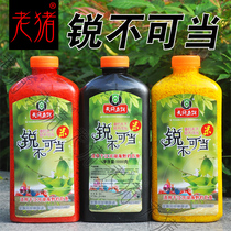 Skynet fish bait cant be used as Rice wild fishing crucian carp nest rice nest material