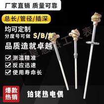 S-type platinum Rhodium thermocouple WRP-130 230 high temperature resistant corundum tube thermocouple 0-1600 degrees temperature sensor
