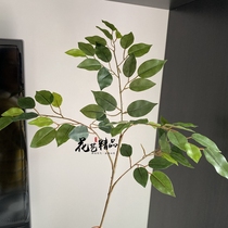 Inins small leaves trees fork Taiwan banyan leaves green leafy bonsai potted outdoor trees to decorate plastic leaves fake flowers