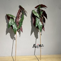 Autumn trout Haitang leaf Ba palm wood single vase decoration fake green leaf bonsai potted spot wood red leaf flower arrangement