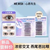 (Anchor Special Share) Mr. Dovetail Sectional Single-Cluster Fake Eyelash Self-grafted naturally dense and beautiful