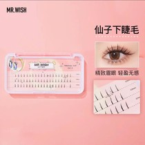 Wish Mr. Grafting False Eyelash C Teething Under the Eyelash Beauty mascara Natural simulation Air Japan Dense Air