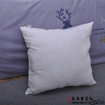 Spring home textile pillow core backrest core cushion core 55*59CM