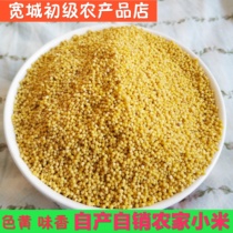 Kuancheng specialty agricultural products 2021 farmers self-produced and sold at the foot of the mountain growth yellow millet 5kg single product