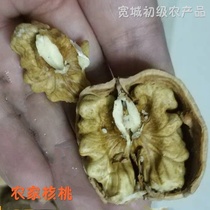 Kuancheng primary agricultural products 2021 farmhouse self-produced original old tree walnut flavor delicious delicious new goods 4kg