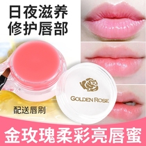 100% US gold rose soft lip gloss and pure natural lip gloss lipstick lipstick lipstick lipstick with lipstick