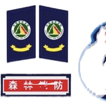 Forest Fire Protection Arm Chapter SF Emergency Rescue Collar Badge Jacket Shoulder Forest Fire Prevention Set Arm Badge