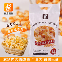 Burst brand butterfly popcorn Corn Popcorn Popcorn special burst small corn popcorn 10kg raw material