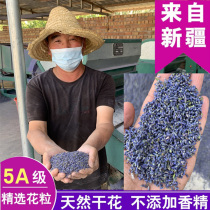 Xinjiang lavender dry flower grain bulk natural incense bag pillow calming for sleeping and filling wardrobe car fragrant sacrag lavender
