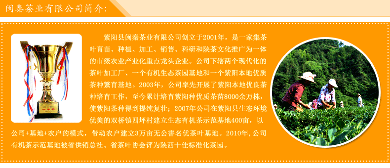 2018年新茶上市 紫阳翠峰 紫阳富硒茶 陕西特产 240g闽秦茶业
