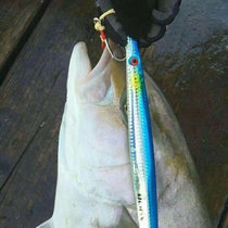 Sea fishing Luya bait Luminous fast sinking iron bait 160 200 250 300g deep sea boat fishing iron bait lures