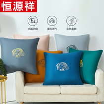 Constant source Xiang antibacterial anti-mite leaning on pillows with pillow sofa cushions Car waist leaning on the office to protect the midday sleeping square pillow