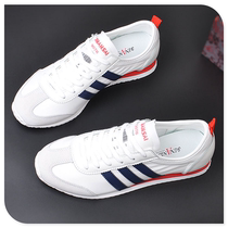 Board shoes mens Forrest Gump shoes 2022 spring new sports casual all-match tide shoes breathable deodorant couple white shoes summer