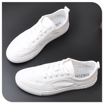 Mens white shoes spring breathable deodorant cloth shoes 2022 new all-match trend casual soft bottom summer simple trend