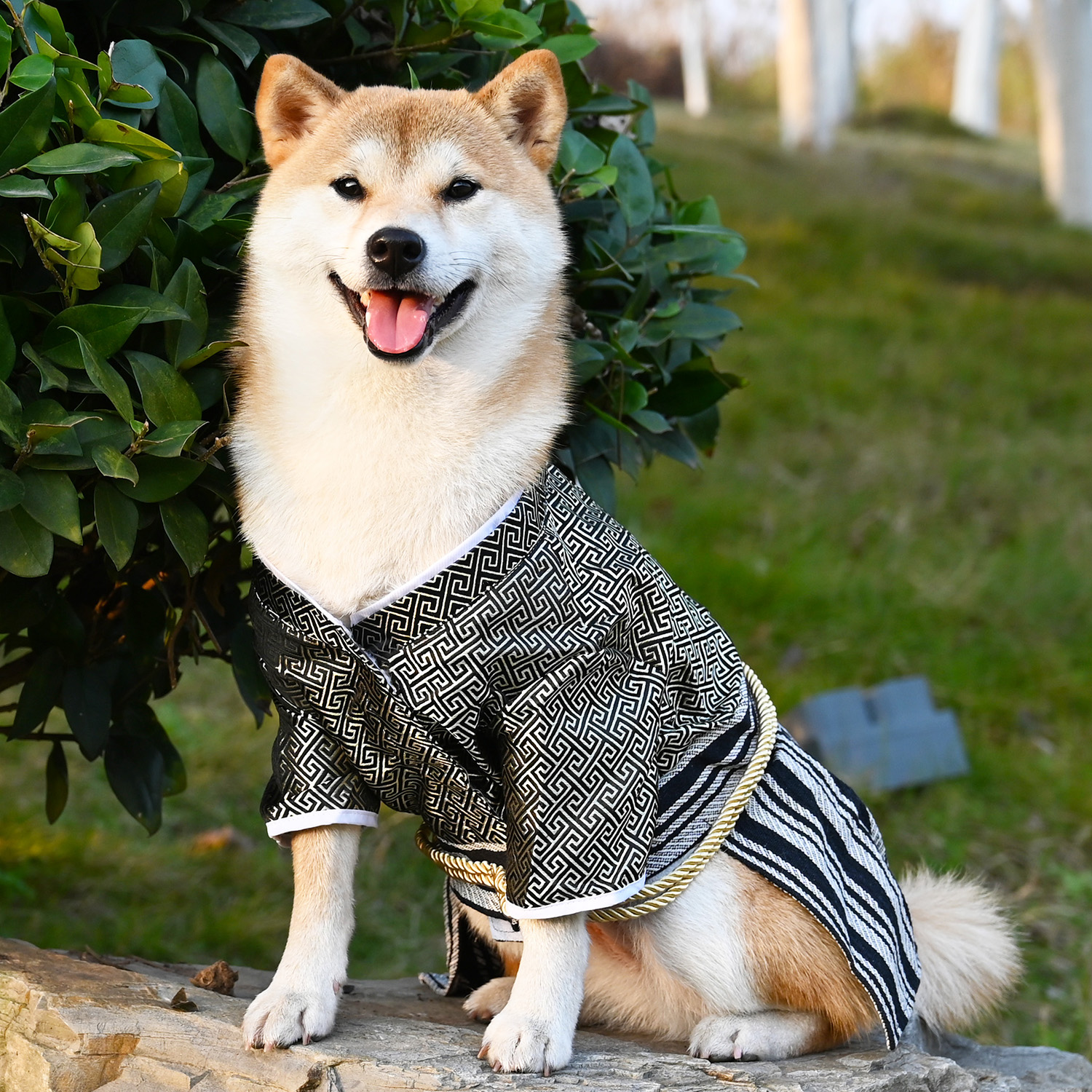 Shiba Inu Corgi method Japanese style men's and women's photo clothes kimono pet dog cat samurai clothing