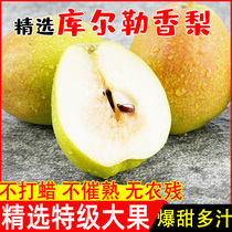 Xinjiang Korla fragrant pear fruit fresh season whole box Yulu special Korla whole mother pear Fresh 10kg