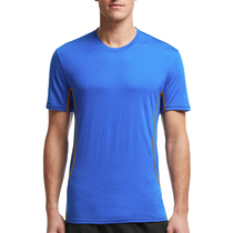 New Zealand icebreaker Merino Wool Sport T-shirt Mens Fitness Quick Dry Short Sleeve T-Shirt Breathless