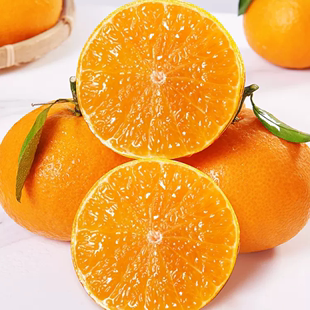 爱媛果冻橙柑橘子新鲜当季水果橙子现摘现发多仓发5斤整箱包邮4