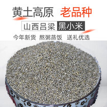 (Farm late-cooked black millet)New goods in 2020 Shanxi specialty five grains farm self-produced 500g