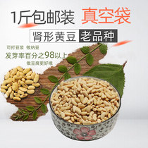 (1 kg of kidney-shaped soybeans)2020 Shanxi farmers produce old varieties of oval sprouted tofu can be used as seeds