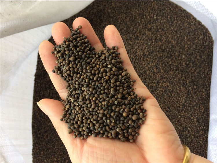 5斤布惊仁 枕头 布惊子 枕头枕芯 黄荆子 普姜籽 布惊籽