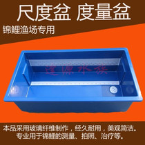 Measuring basin Koi blue scale basin 65*45*24cm 120*60*35cm with measuring ruler