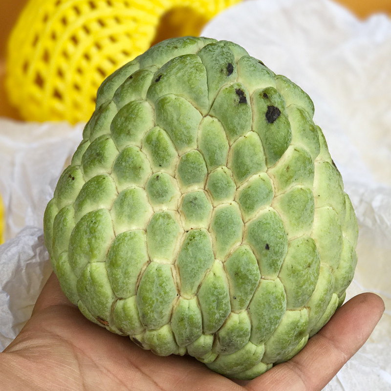 泰国大目释迦 2颗 释迦果 佛头果 番荔枝 新鲜水果 单果约450g_不打折