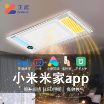 Xiaomi Tmall Genie bath lamp bathroom air heating type exhaust fan lighting integrated ceiling heating fan