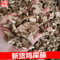 Guangxi Chinese herbal medicine Chicken Shit Vine 500g Rooster Vine Stench Root Chinese Herbal Medicine SQUIEU Rice Root