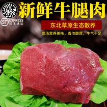Northeast barbecue Qiqihar Halal fresh beef Specialty barbecue BEEF beef leg meat without water injection lean meat