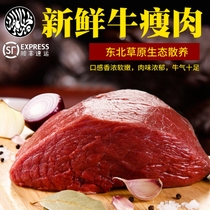 Halal fresh beef Cowboy lid Cow lid Beef Lean meat Cucumber strips Beef Beef Beef Lean meat