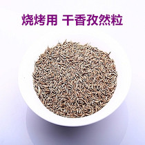 Fresh barbecue skewers barbecue seasoning cumin grains