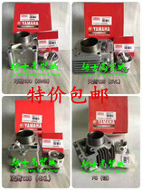Flower marrying Eagle ZY100 Lin Haiyamaha Fuxi JOG Feigge Fire Flying Eagle 100 Piston Ring Cylinder Sleeve Cylinder