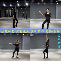Liu Sang belly dance finished dance decomposition teaching Chinese dance video textbook adult self-study classical dance tutorial