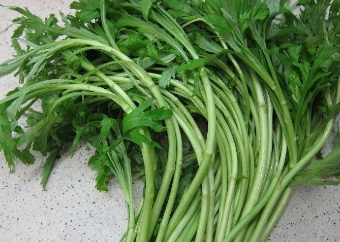 售,或在小店购物满4斤都可以,我们每份泥蒿都会用保鲜膜包扎好后发货