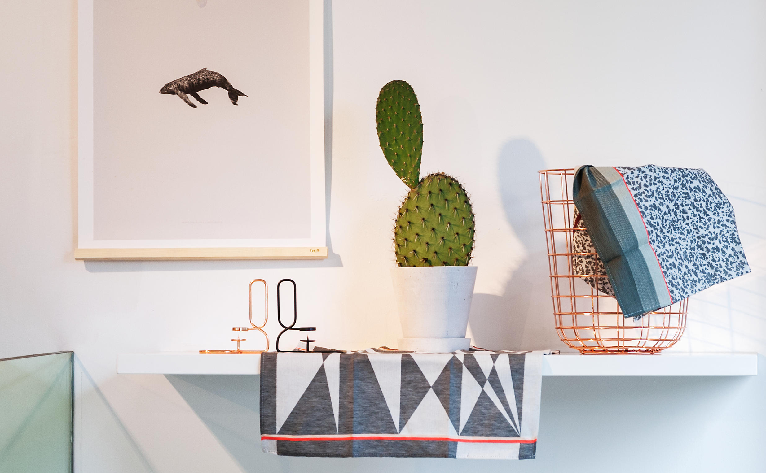 提到ins的北欧风家居,那么就不得不提起龟背竹这盘看起来老实憨厚的