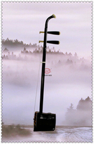 er quan erhu EVN instrument