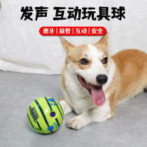 Pooch toy vocalite Cokie nibbling on self-hi silly smile pet ball rolling bulldog Freak is called grindle and resistant to bite.