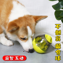 Kokie Tumbler of Missed Food Ball Toys Small And Medium Dog Dogs Puzzle Toy Pets Missed with Slow Food Toys