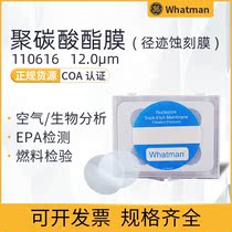 British whatman110616 polycarbonate Nuclepore track etching PC filter membrane 25mm pore size 12um
