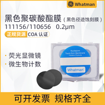 Whatman Waterman 110656 111156 Black track etched polycarbonate PC filter membrane 0 · 2um