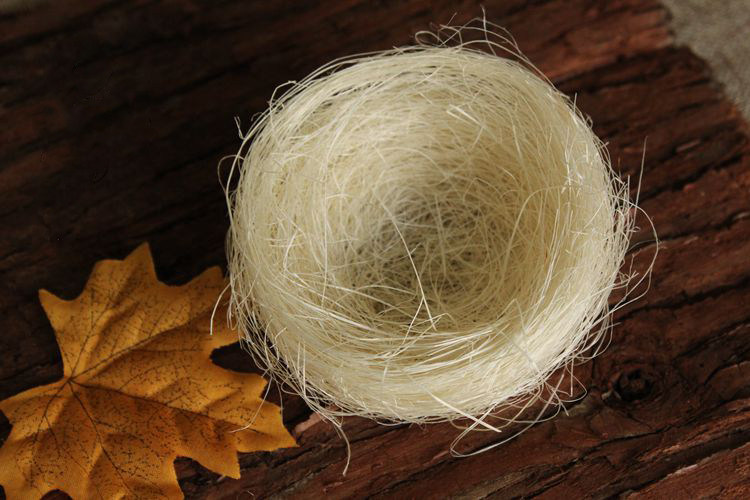 麻丝鸟巢仿真鸟窝酒店创意冷菜菜盘装饰 永生花礼盒填充 拍摄道具